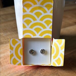 Elegant Silver Stud Earrings